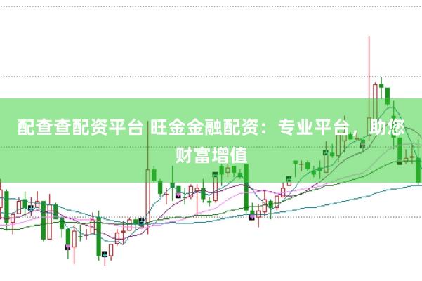 配查查配资平台 旺金金融配资：专业平台，助您财富增值