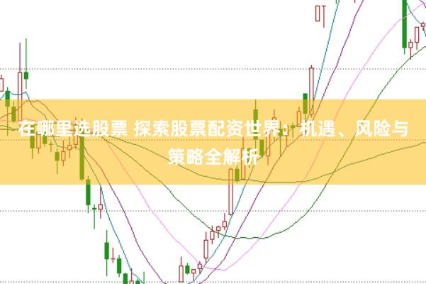 在哪里选股票 探索股票配资世界：机遇、风险与策略全解析
