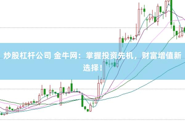 炒股杠杆公司 金牛网：掌握投资先机，财富增值新选择！