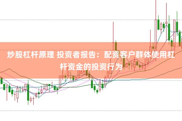 炒股杠杆原理 投资者报告：配资客户群体使用杠杆资金的投资行为