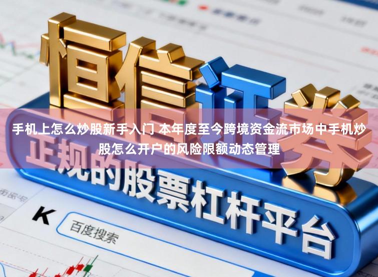 手机上怎么炒股新手入门 本年度至今跨境资金流市场中手机炒股怎么开户的风险限额动态管理