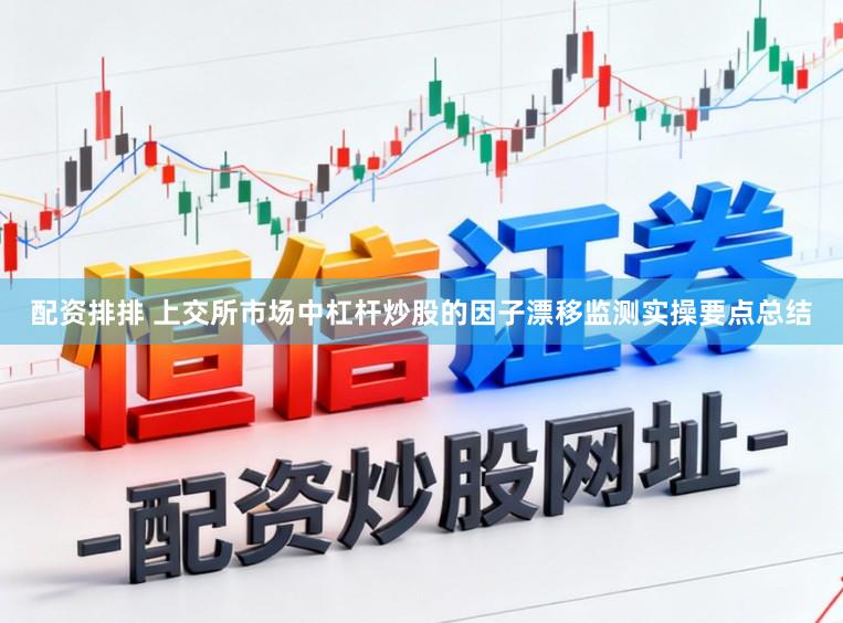 配资排排 上交所市场中杠杆炒股的因子漂移监测实操要点总结