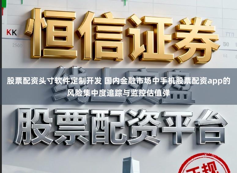 股票配资头寸软件定制开发 国内金融市场中手机股票配资app的风险集中度追踪与监控估值弹