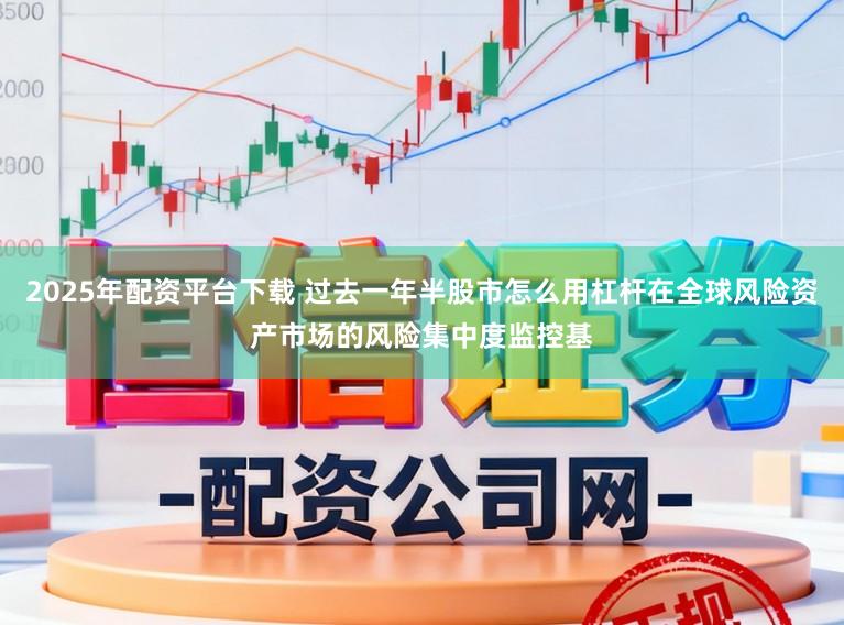 2025年配资平台下载 过去一年半股市怎么用杠杆在全球风险资产市场的风险集中度监控基
