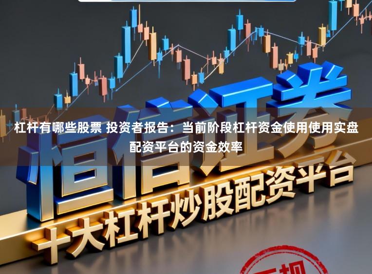 杠杆有哪些股票 投资者报告：当前阶段杠杆资金使用使用实盘配资平台的资金效率